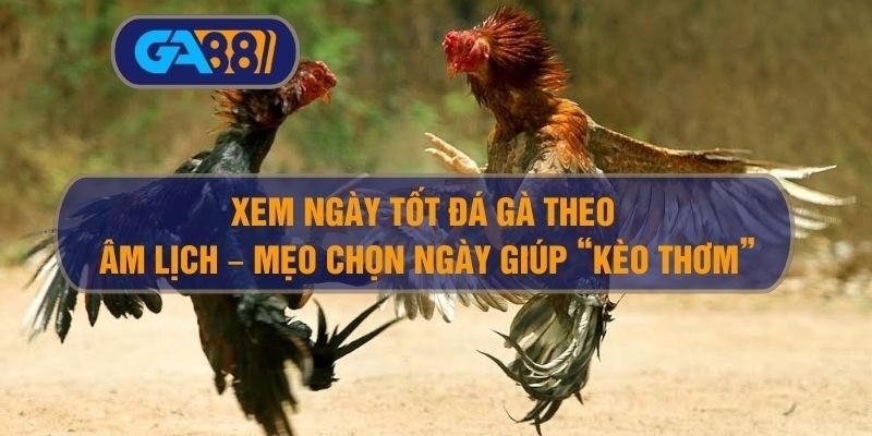 3BET Xem ngày tốt đá gà theo âm lịch – Mẹo chọn ngày giúp “kèo thơm”